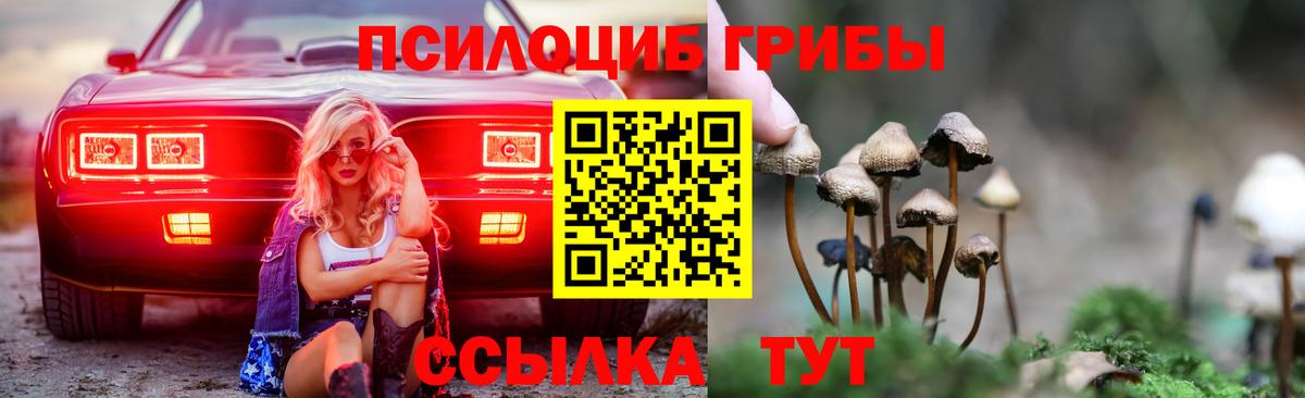 Псилоцибиновые грибы GOLDEN TEACHER  Ступино 